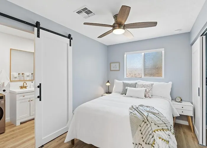 Pet Friendly In Couette-café Tucson